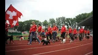 Hitchcock, my Dog - European Open (English)