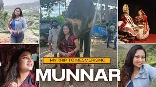 Munnar Trip Day 3❤️| Visited Munnar during Christmas 2022  @lifenbeyond