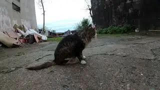 Trabzon Ortahisar Esentepe mah
