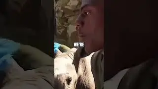 #denzelwashington