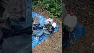urban stealth camping... Seaside Oregon