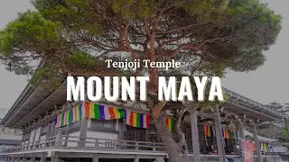 Maya Mountain, Rokko 🇯🇵 | Tenjoji Temple Visit & Friendship Trip in Kobe