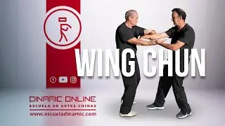WING CHUN ENTRENAMIENTO BÁSICO DE PATADAS