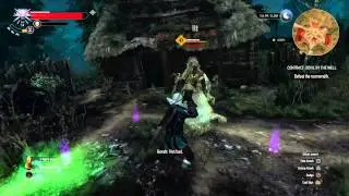 The Witcher 3: Wild Hunt witch in the well