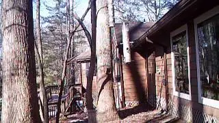 2016 02 18 14 33 08 BirdFeeder NatureWindow birds