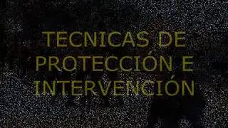 DINOES-PNP/USE-PNP/ CRS - FRANCIA -- SEMINARIO DE CONTROL DE DISTURBOS .wmv