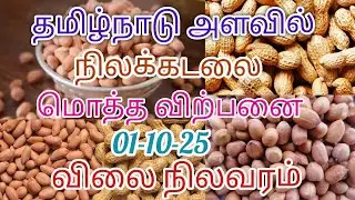 நிலக்கடலை மொத்த விற்பனை (01-10-25) Ground nut wholesale market in Tamilnadu #groundnut #wholesale 