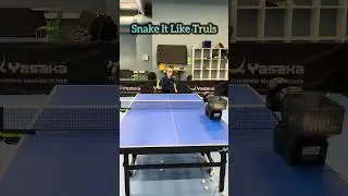 Snake It Like Truls M&ouml;reg&aring;rdh 🇸🇪 #tabletennis #yasaka #pongbot