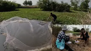 Bữa Cơm Đạm Bạc Với Cá Nướng Tại Đồng Vậy Mà Ngon ...Tư Ú Nu