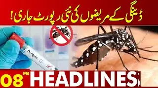 Dengue Cases Rising &ndash; Latest Patient Report Out | 08 PM Headlines | Lahore News HD