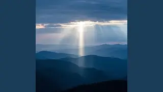 Bring the Light