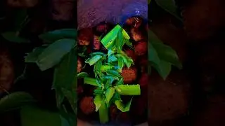 Ever tried Sri Lanka&rsquo;s famous Lasia (Kohila) Root Curry? 😯😯