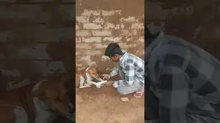 Dog Reaction Painting 🐶😱 #shorts #drawing #art #gujarat