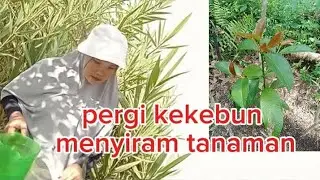 Pergi ke kebun menyiram tanaman
