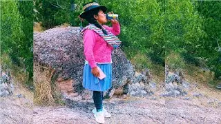  CHIMAYCHA ORIGINAL DE AUQUILLA