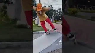 Skate shesh