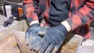 Proctor (ASTM D698 D1557) Prep - Clay/Silt