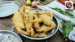 માધવ ફાર્મ ૨ Madhav Farm 2 