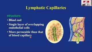 TIPS-ECHO Season 166 FCPN 23:Session 13|Lymphedema|Sr Sheeba