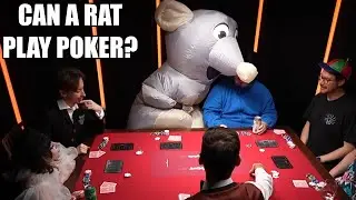 Умеет ли крыса играть в покер?