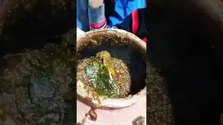 Had a delicious bite of mutton at champaran meat house of Patna / nonveg lovers / tasty meal