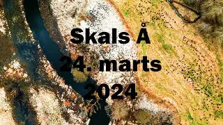 Skals &aring;