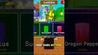 *RARE* RAINBOW EXOTIC SEED PACK IN GROW A GARDEN! | ROBLOX #roblox #growagarden #raccoon #gag