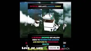sky driver re plants amazon forest #dropped 100 million seeds to re green the amazon and restore.