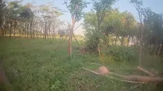 SPCMAKER K1 FPV Racing Drone  RunCam Split Mini 2