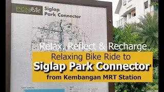 Relaxing Bike Ride to Siglap Park Connector from Kembangan MRT Station