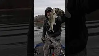 Finessing Winter Spotted Bass At Lake Lanier#shorts #bassfishing