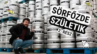 Lefektett&uuml;k az ALAPOKAT