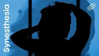 blanku - comedown (Official Audio) Synesthesia 'Last Winter'