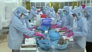 Agro-forestry-fishery trade surplus jumps over 62% in 10 months