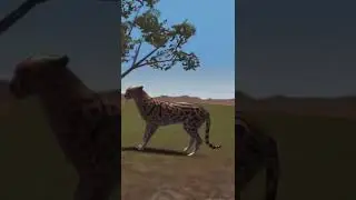 My first The Cheetah Online Simulator edit ;D