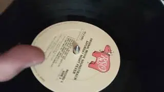 real vinyl scratching/