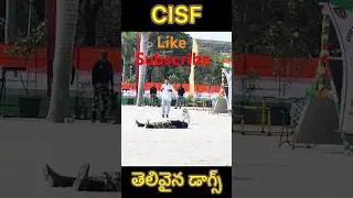 CISF dogs హల్చల్ what a memory #cisfdogs  #republicdaycelebrations #entertainment