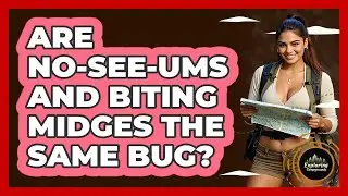 Are No-see-ums And Biting Midges The Same Bug? - Exploring Campgrounds