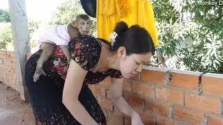 Dodo Hug Mom So Strong To Upstairs Dry Clothes