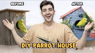 Easy Cardboard Birds House || How to make Parrot House || Diy House || Easy Tutorial #diycrafts 