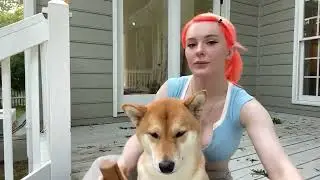 Meowri- A F*ckton of Dog Hair