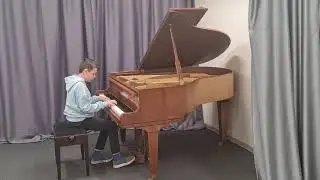 Dominykas Serdiuk, piano, music school 