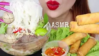 ASMR VIETNAMESE PHO BEEF NOODLES + DEEP FRIED SPRING ROLLS | EATING SOUNDS (No Talking)