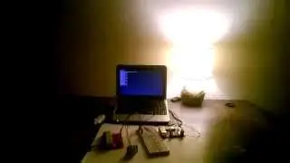 motion sensor bulb
