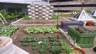 Landscape Design Vancouver