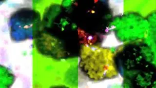 8bit Inflorescence VideoMix