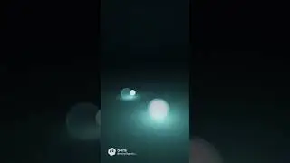 [PROTOCOL-18] INDEPENDENCE TEST | It moves itself.