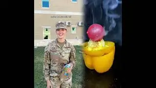 #military #miltok #veteran #airforce #usmc #navy #army