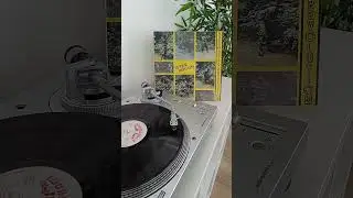 Junior Delgado - Bush Master M 16 - Reggae Vinyl #Shorts