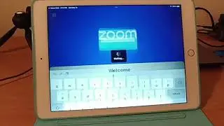 How to Choose an Interpreter at Zoom Webinar Meeting
